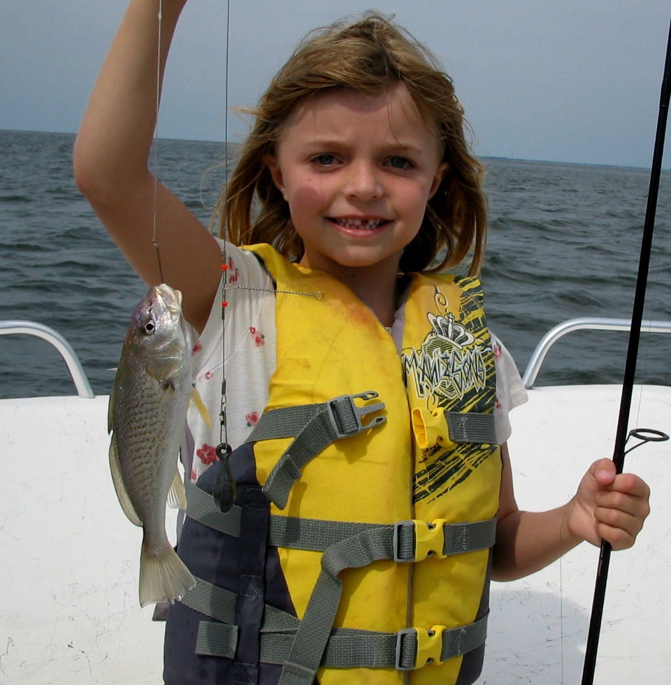 Atlantic croaker