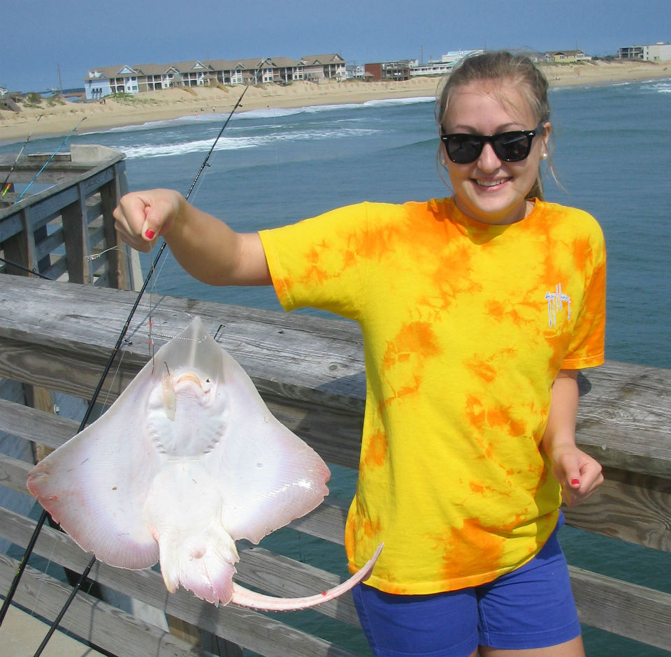 Clearnose skate