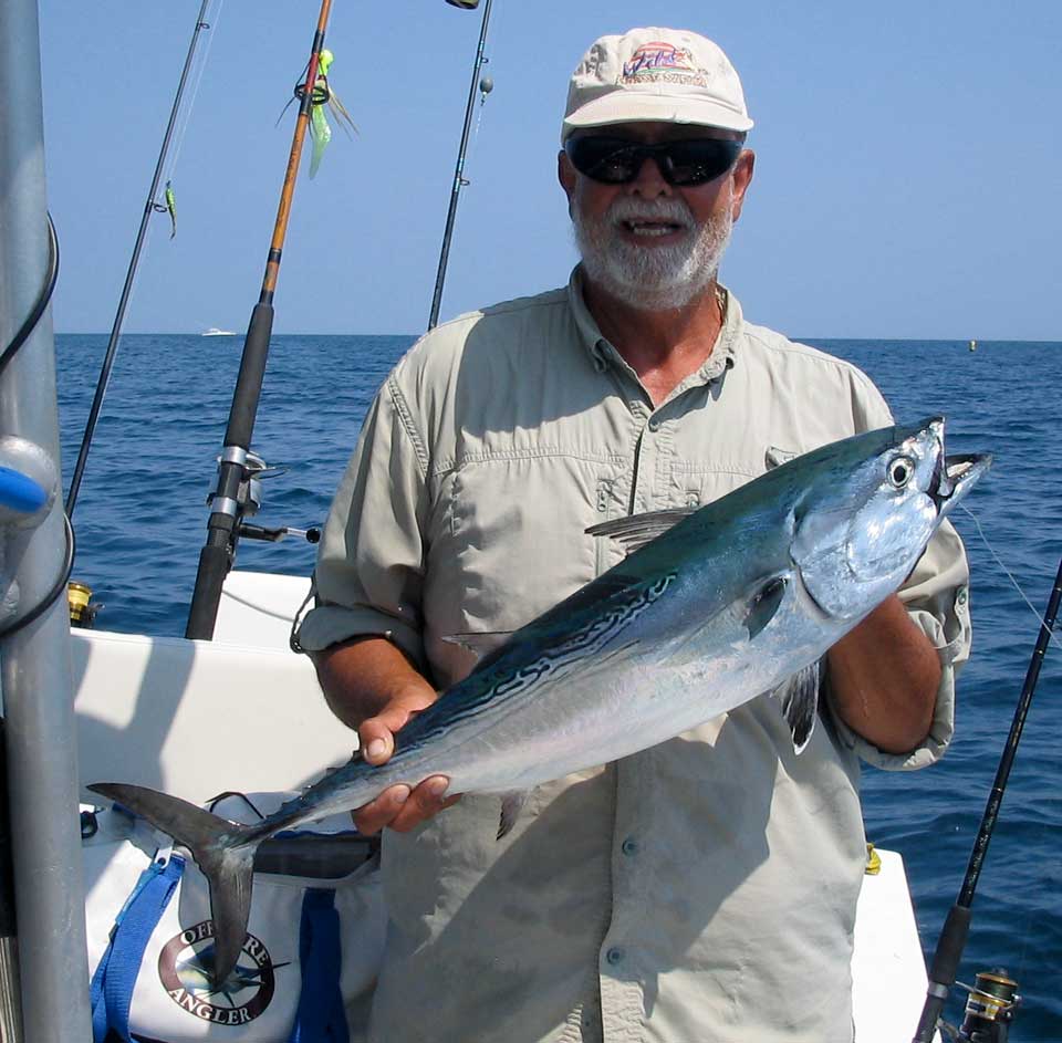 Outer Banks False albacore (little tunny)