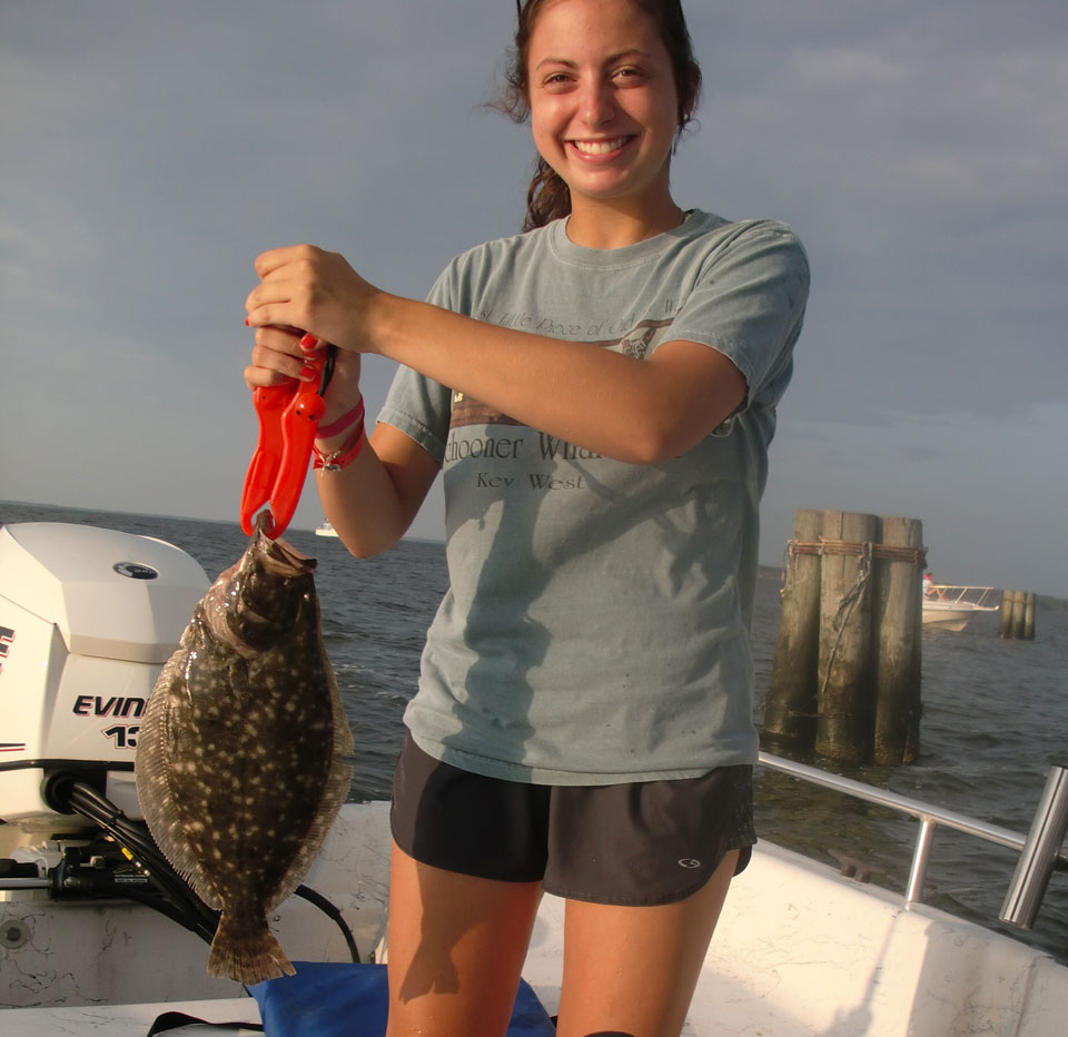 Summer flounder