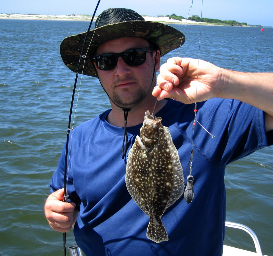 Summer flounder