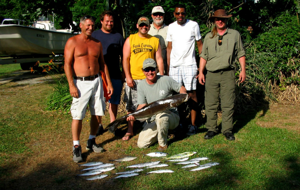 Cobia, Little tunny, Spanish mackerel, Grey triggerfish, Mahi-mahi, and Bluefish