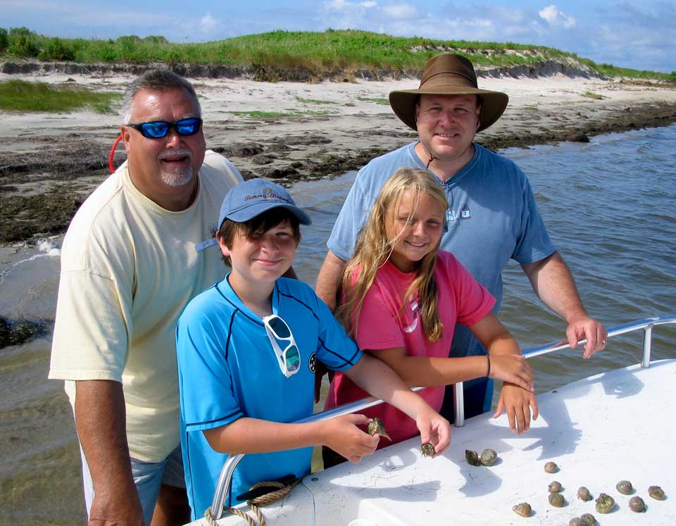 Hermit crabs