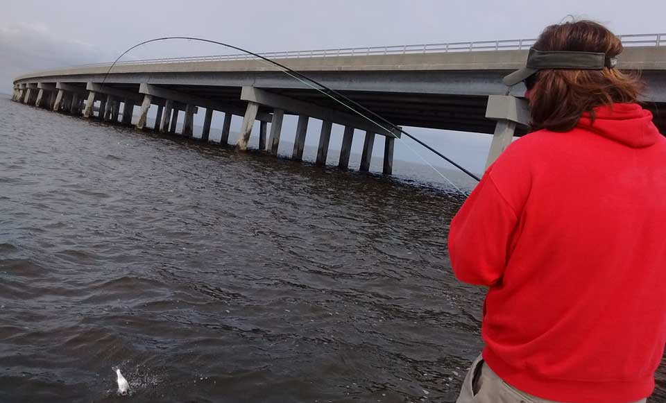 Striped bass fly fishing