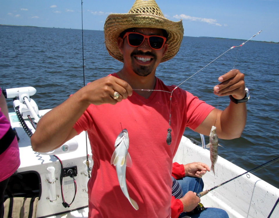 Southern kingfish and Pigfish