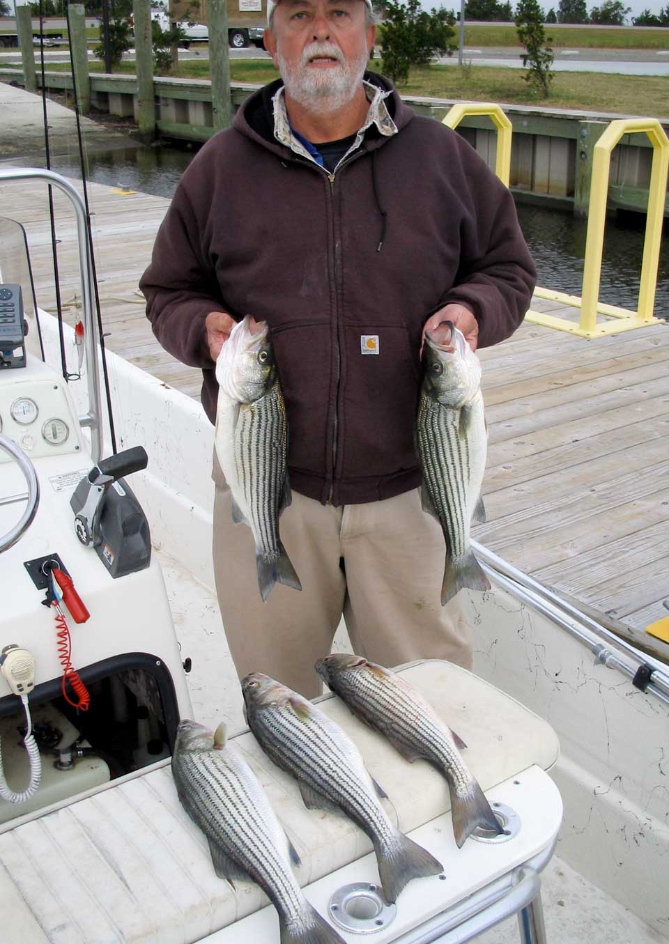 OBX Striped bass