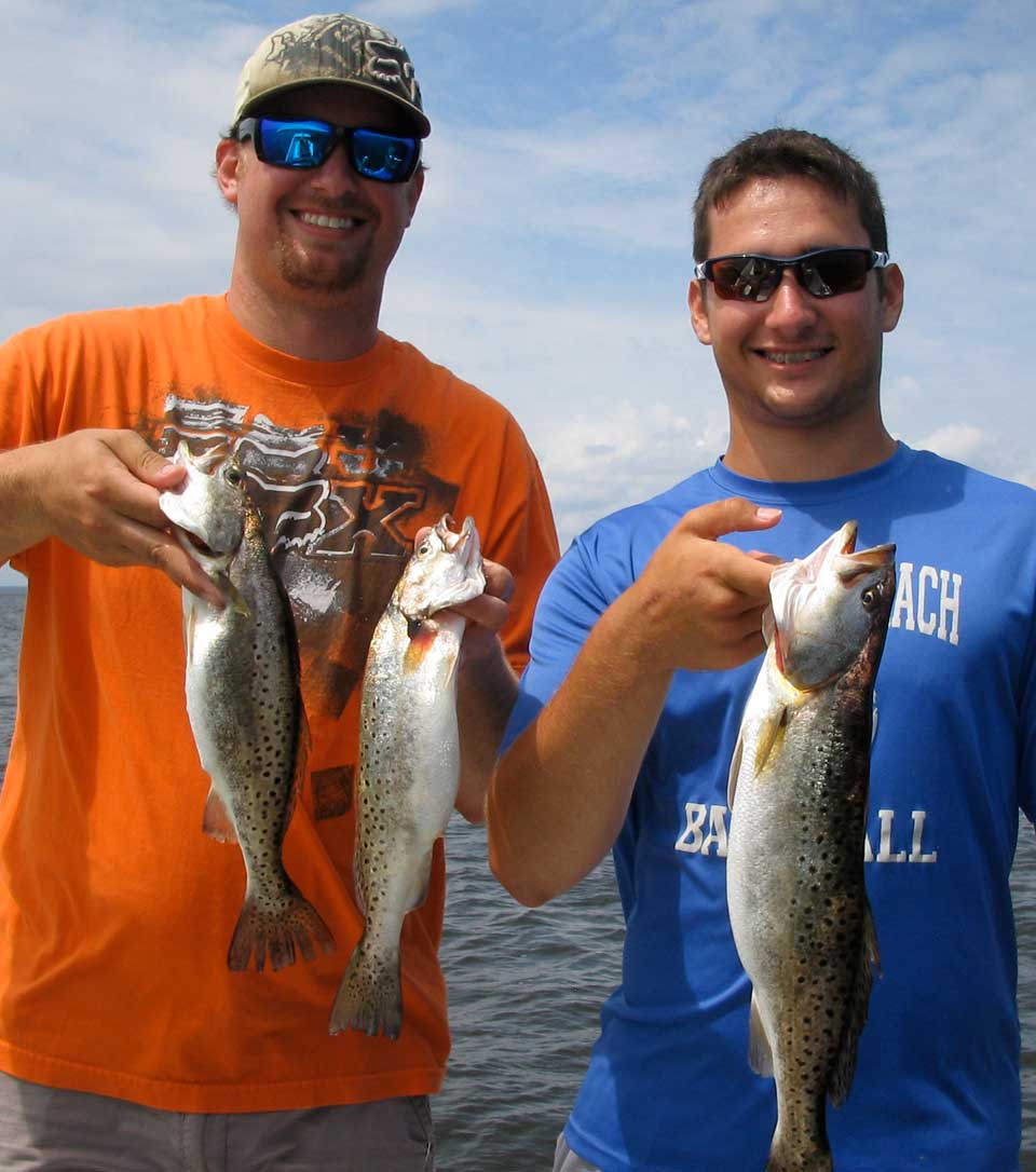 Spotted seatrout (speckled trout or specks)