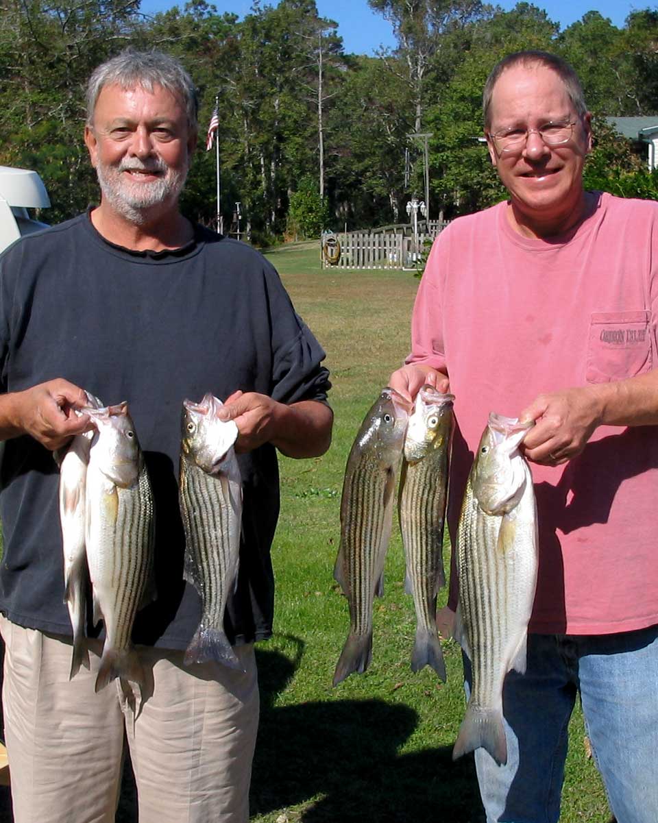 OBX Striped bass