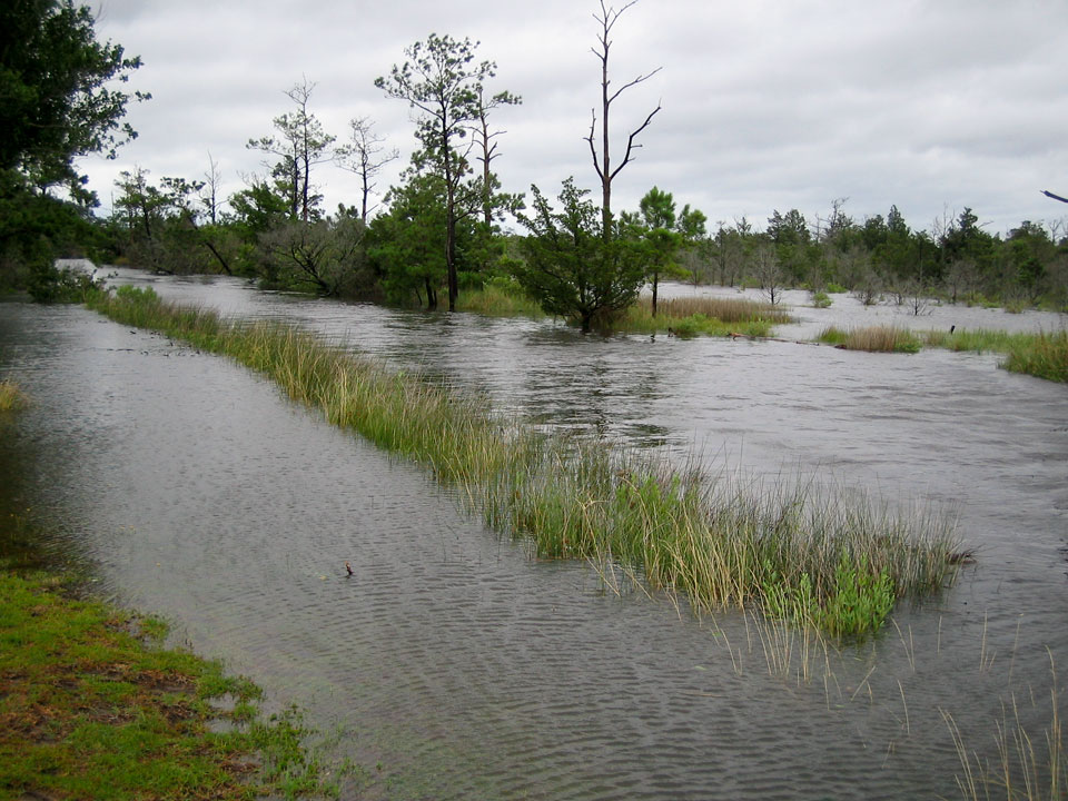 Wanchese, Hurricane Authur