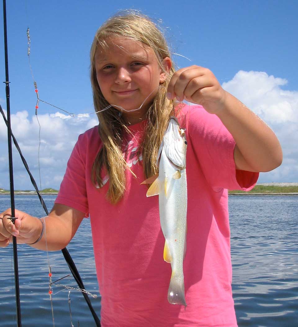 Weakfish (grey trout)