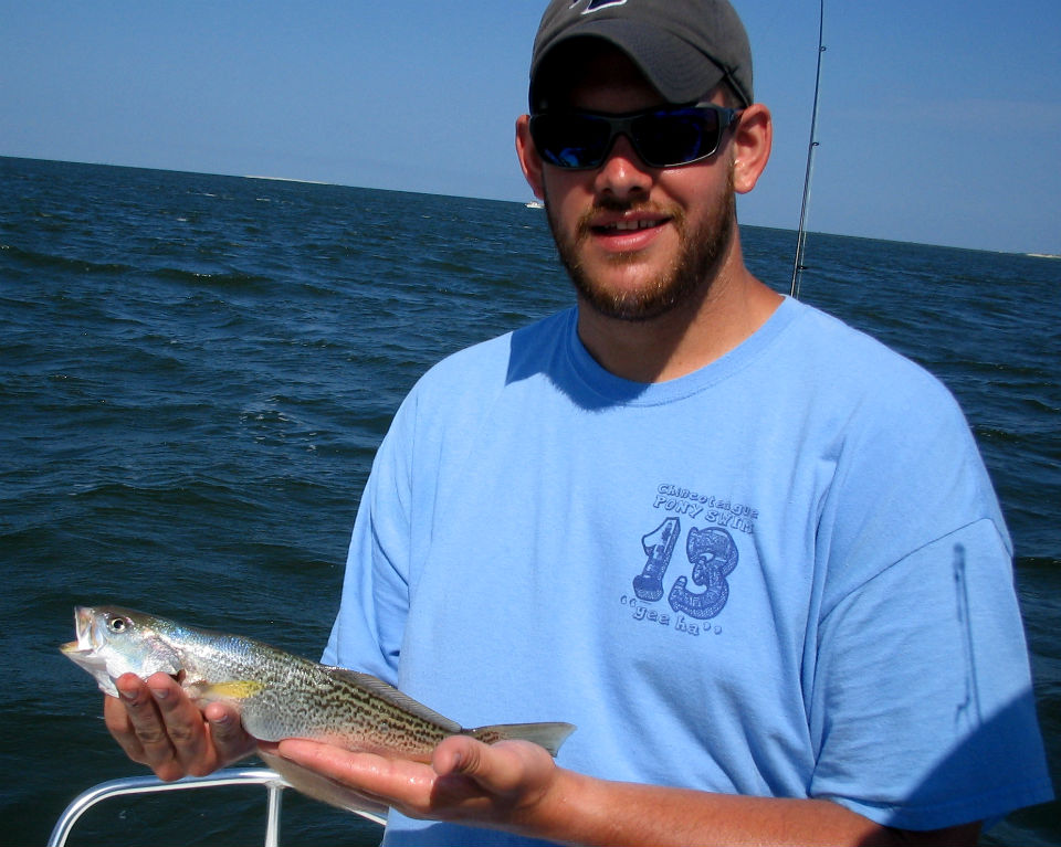 Weakfish