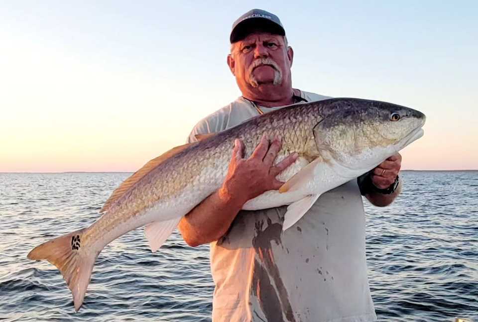 Outer Banks Red drum