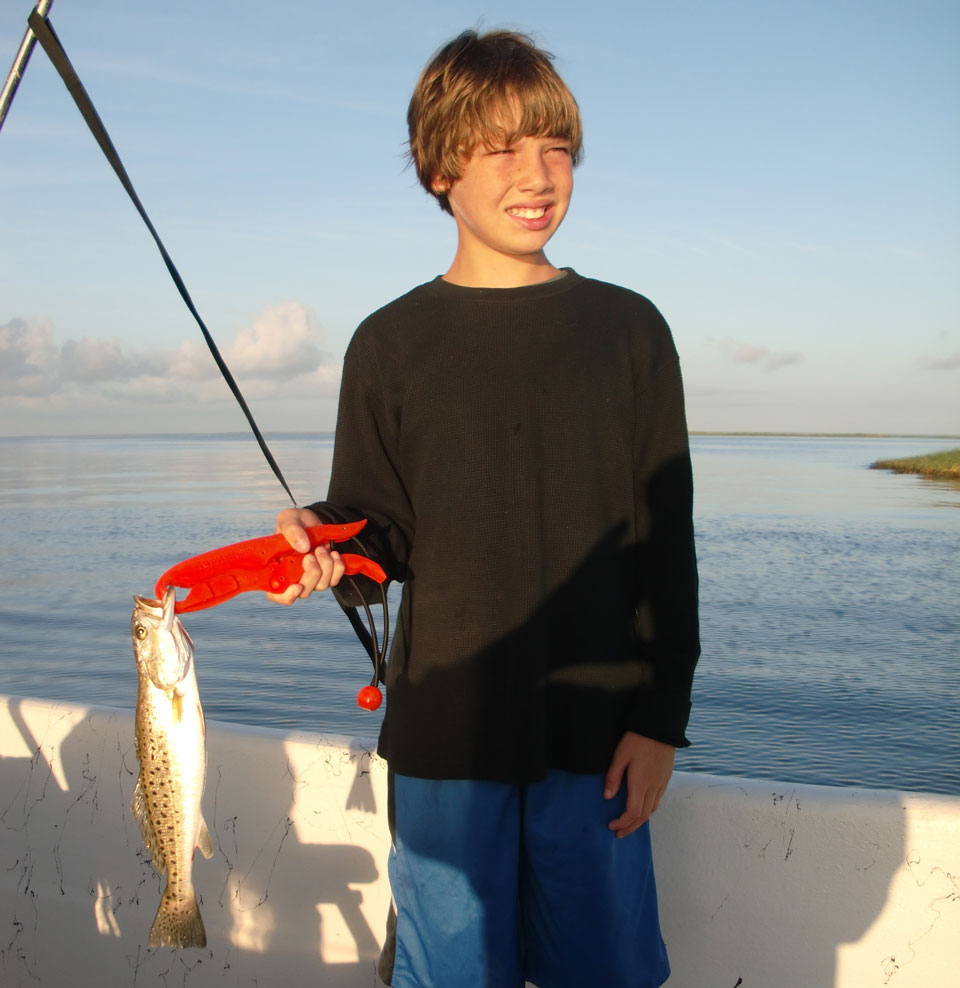 Spotted seatrout