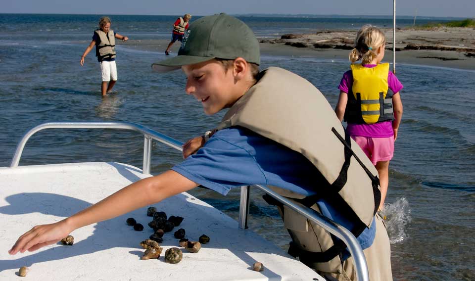 Hermit crabs