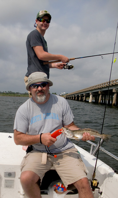 Spotted seatrout