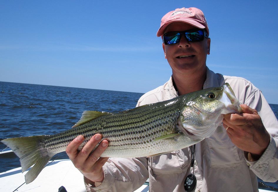 OBX Striped bass fishing charter
