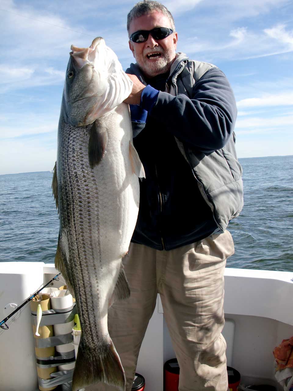 Chesapeake Bay Striped bass
