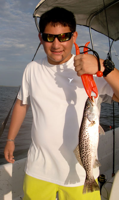 Spotted seatrout (speckled trout or specks)