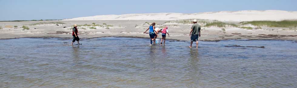 Oregon Inlet