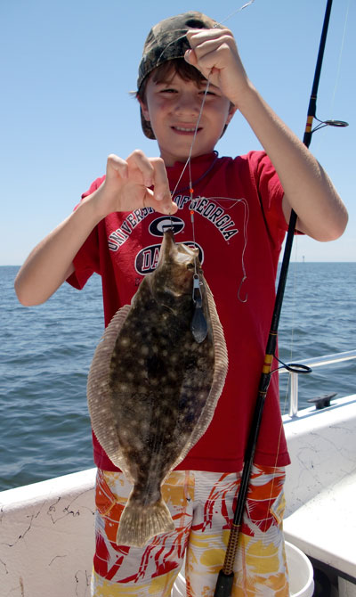 Summer flounder