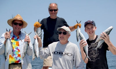 Spanish mackerel