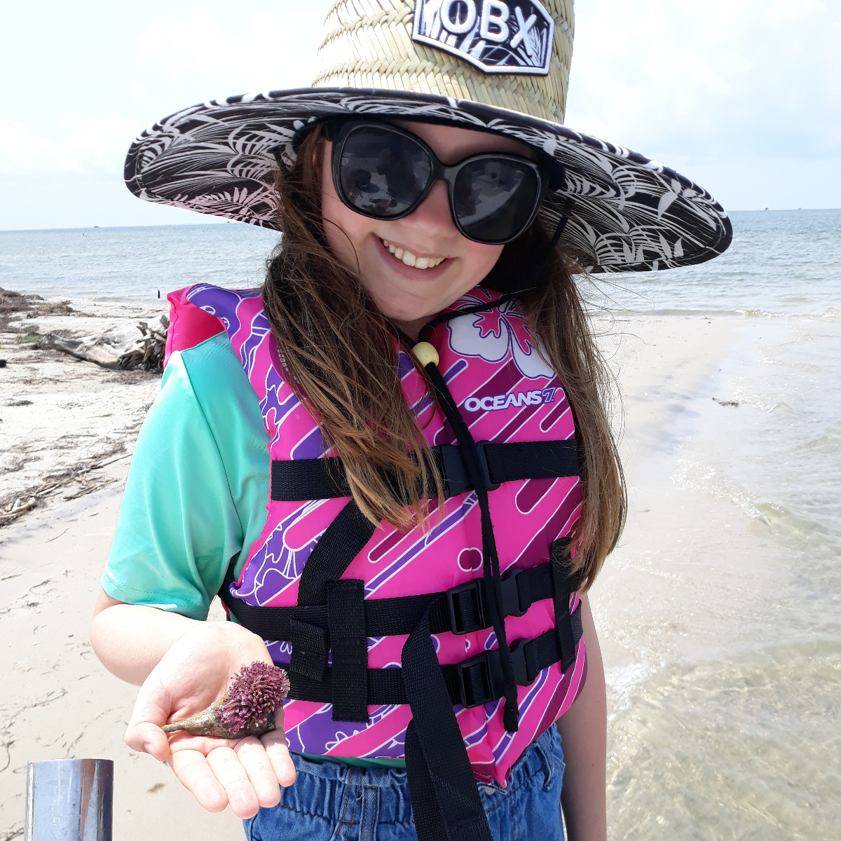 OBX Hermit crab