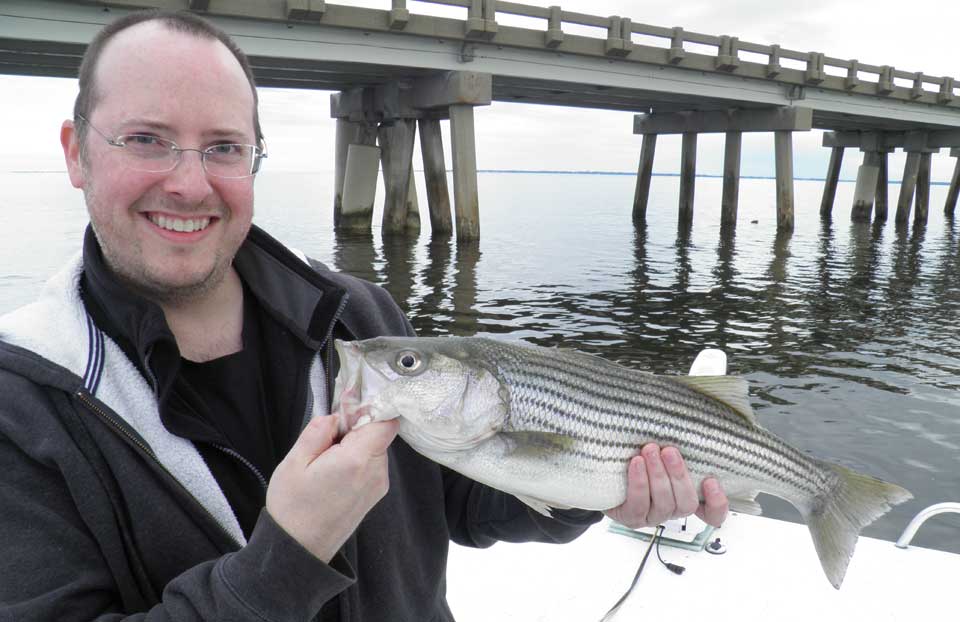 Striped bass fly fishing