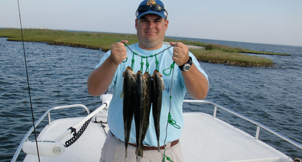 trout speckled catch spotted fishing fish outer banks obx learn want