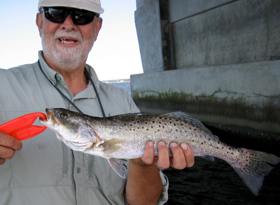 Can you use trout lures in saltwater
