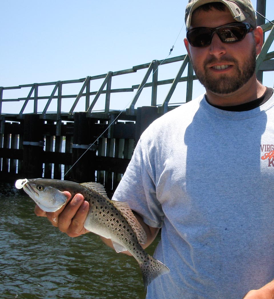 Outer Banks Spotted seatrout