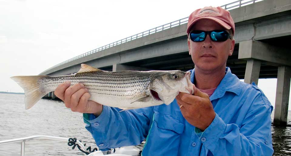 How to catch rockfish at the Outer Banks